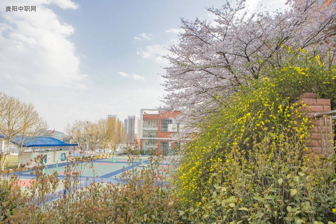 贵阳市第三实验中学简介