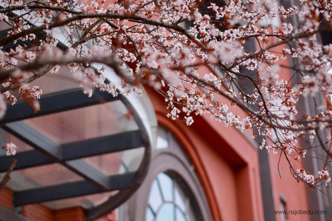 中央民族大学附属中学贵阳学校2025年招生简章