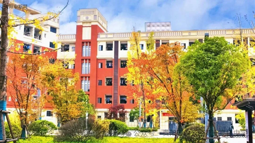 贵阳市白云区第一高级中学2025年项目计划特长生招生简章