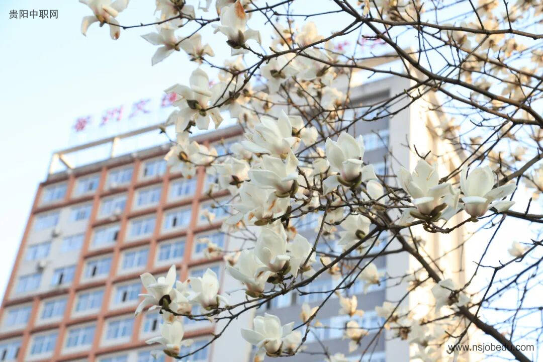 贵州交通技师学院（贵州省交通运输学校）简介