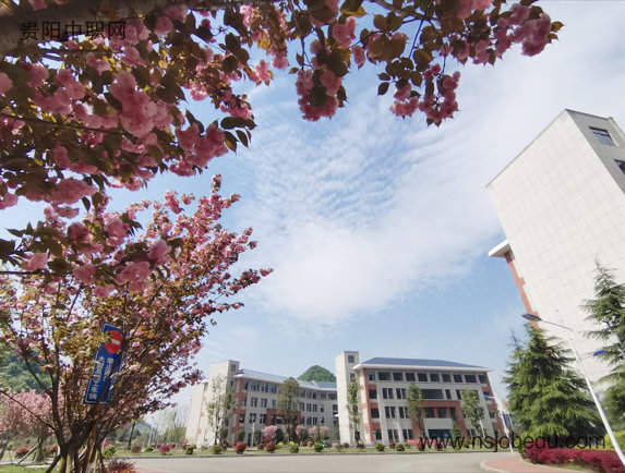 学校环境