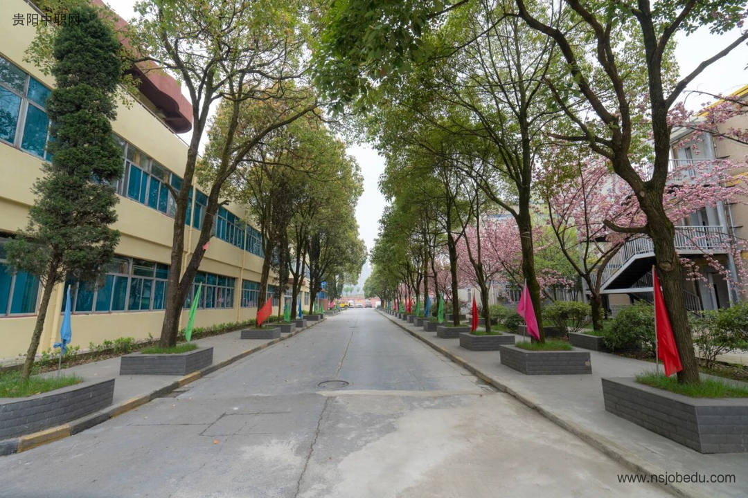 学校环境